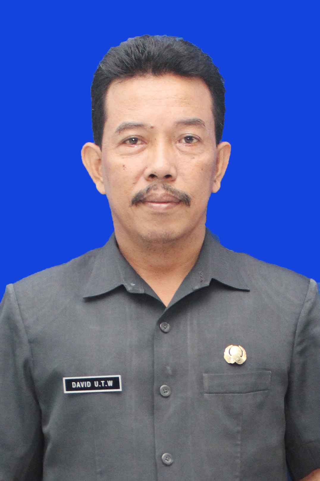 Ir. David Ulung T.W.